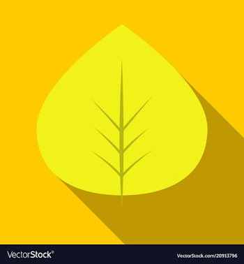 Autumn leaves isolated on colour background vector image