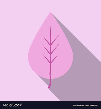 Autumn leaves isolated on colour background vector image