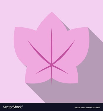 Autumn leaves isolated on colour background vector image