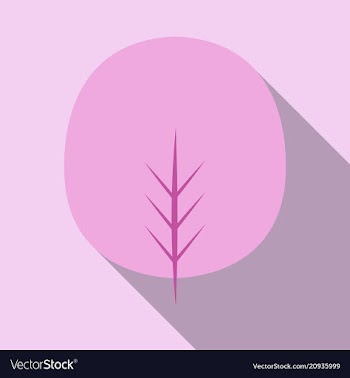 Autumn leaves isolated on colour background vector image