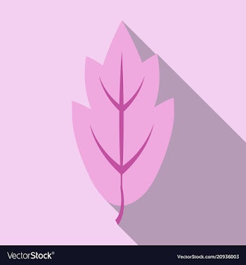 Autumn leaves isolated on colour background vector image