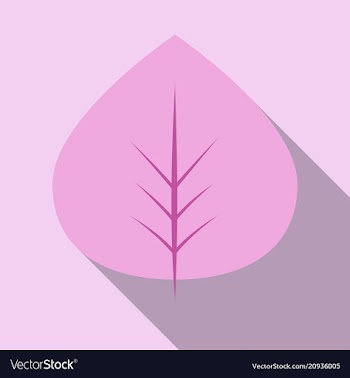 Autumn leaves isolated on colour background vector image