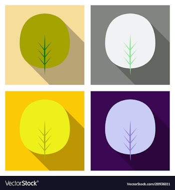 Autumn leaves isolated on colour background vector image