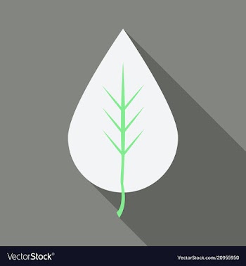 Autumn leaves isolated on colour background vector image