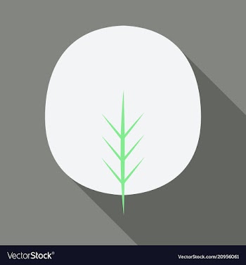 Autumn leaves isolated on colour background vector image