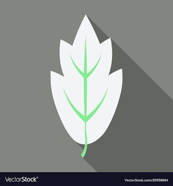 Autumn leaves isolated on colour background vector image