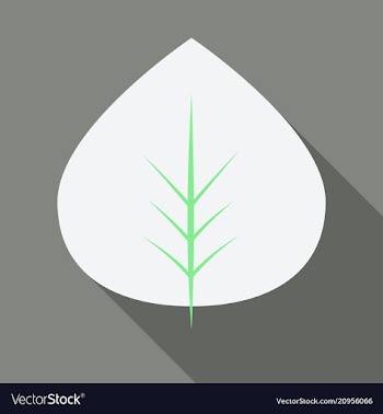 Autumn leaves isolated on colour background vector image