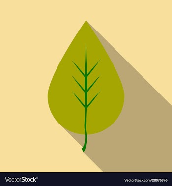 Autumn leaves isolated on colour background vector image
