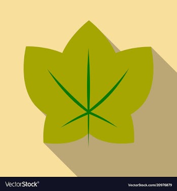 Autumn leaves isolated on colour background vector image