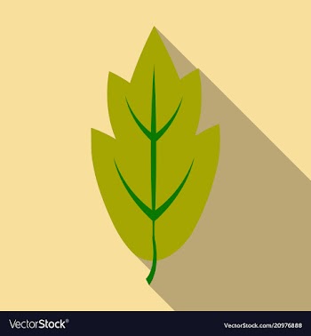 Autumn leaves isolated on colour background vector image