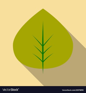 Autumn leaves isolated on colour background vector image