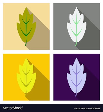 Autumn leaves isolated on colour background vector image