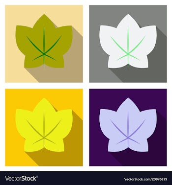 Autumn leaves isolated on colour background vector image