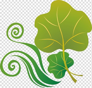 Autumn Leaves Leaf Drawing , autumn leaves transparent background PNG clipart