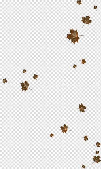 Autumn Leaves Leaf, goose transparent background PNG clipart