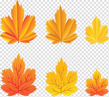 Autumn Leaves Leaf , Maple Leaf transparent background PNG clipart