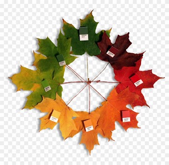 Autumn Leaves - Maple Leaf Color