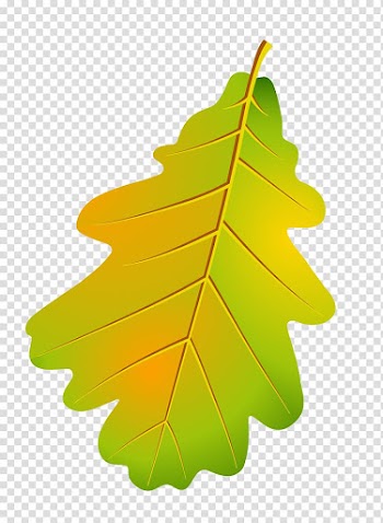 Autumn Leaves Maple leaf Plant, leaf outline transparent background PNG clipart