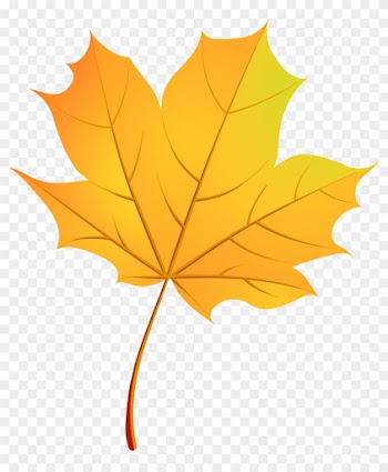 Autumn Leaves Maple Leaf - Кленовый Лист Вектор Png
