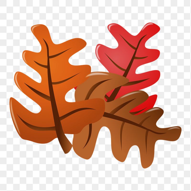 Autumn leaves png sticker, transparent | Free PNG - rawpixel