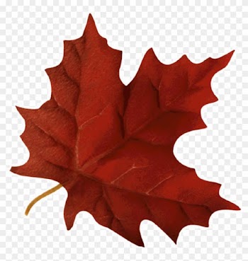 Autumn Leaves Religious Clipart - Fall Leaf Gif Transparent