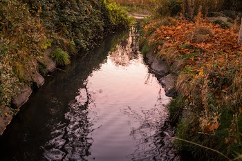          Autumn Leaves River Reflection Free Photo     