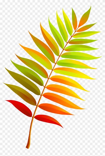 Autumn Leaves, Rubrics, Stencils, Clip Art, Flower - Pretty Leaf