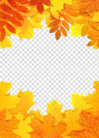Autumn leaves transparent background PNG clipart