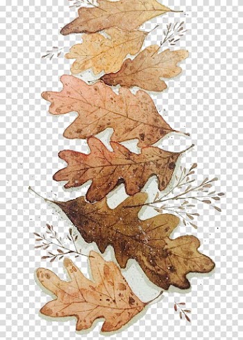 Autumn leaves transparent background PNG clipart