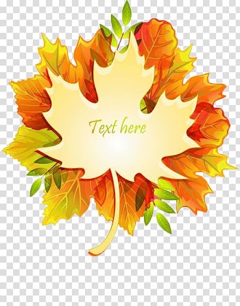 Autumn leaves transparent background PNG clipart