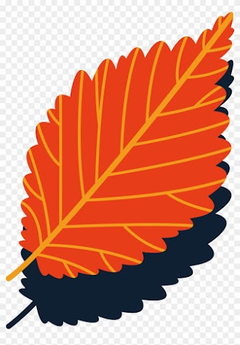 Autumn Leaves Vector Background - Illustration