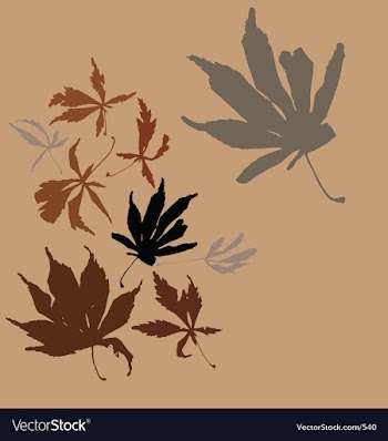 Autumn leaves vector image