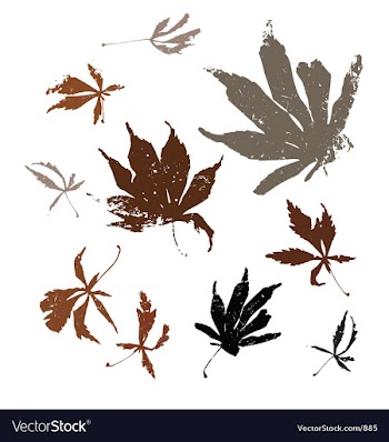 Autumn leaves vector image