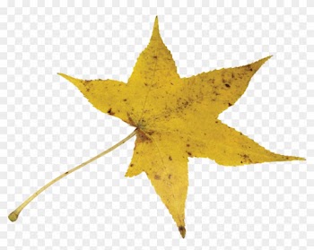 Autumn Leavesclip Art - Maple Leaf
