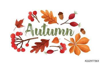 Autumn lettering handwritten with beautiful cursive calligraphic font decorated with fallen tree leaves, acorns, berries