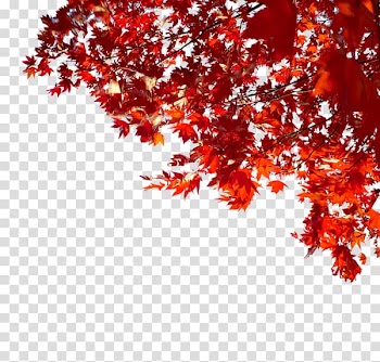 Autumn LiveInternet, others transparent background PNG clipart