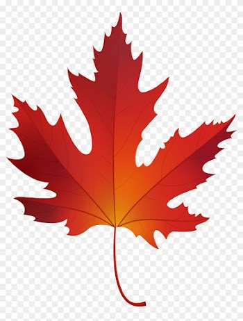 Autumn Maple Leaf Png Clip Art - Autumn Maple Leaf Png Clip Art
