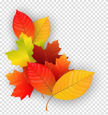 Autumn maple leaf transparent background PNG clipart