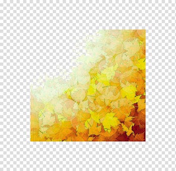 Autumn maple leaf transparent background PNG clipart