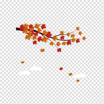 Autumn Maple Leaf transparent background PNG clipart