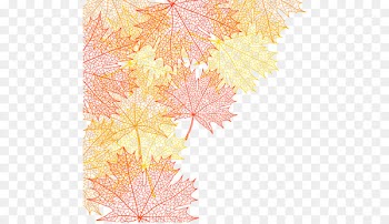 Autumn Maple leaf Tree - Autumn maple leaf texture painted cartoon 
