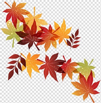 Autumn Maple leaf, Withered autumn leaves transparent background PNG clipart