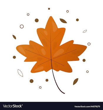 autumn maple leaves warm and rich colors