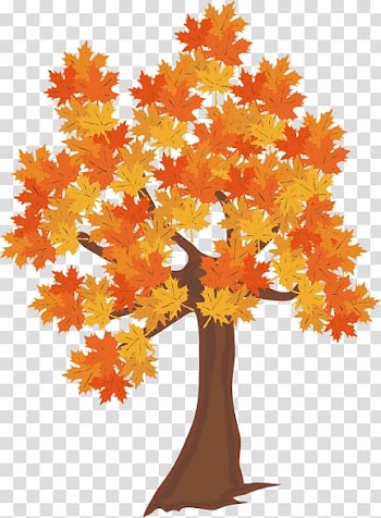 Autumn Maple Open, autumn transparent background PNG clipart