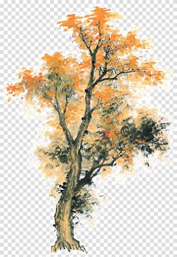Autumn maple painted transparent background PNG clipart