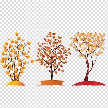 Autumn maple transparent background PNG clipart