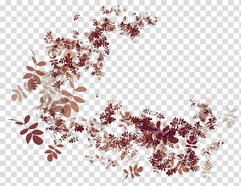 Autumn Petal Flower , autumn background transparent background PNG clipart