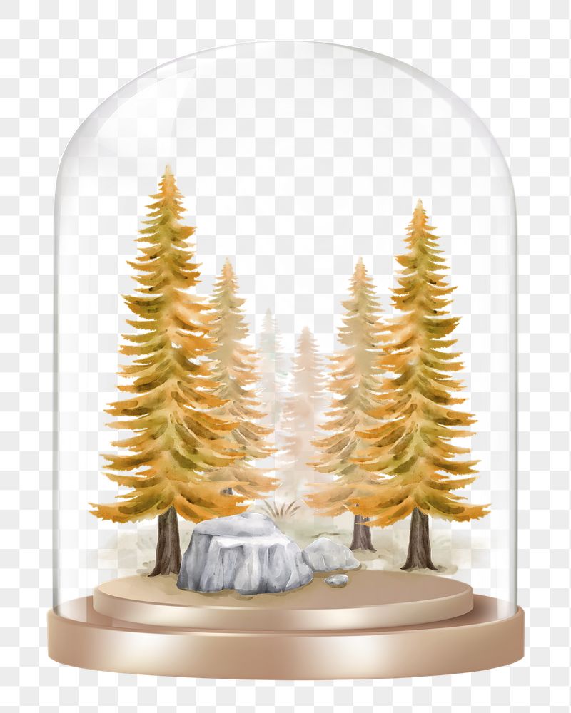 Autumn pine png forest glass | Free PNG - rawpixel