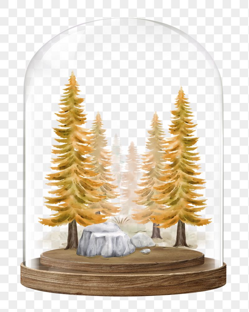 Autumn pine png forest glass | Free PNG - rawpixel
