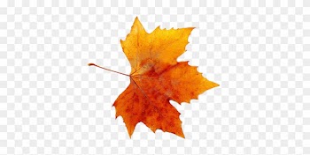 Autumn Png By Vanessarebelangel On Deviantart - Fall Maple Leaf Png